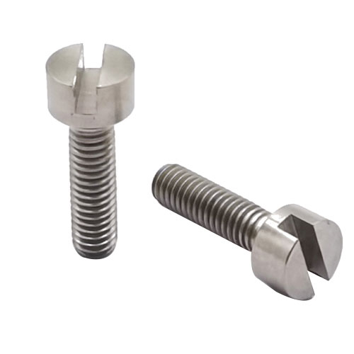 DIN84 Slotted Titanium meneng