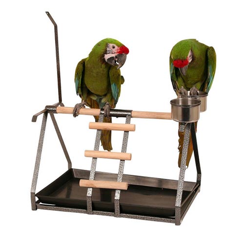 Taman Burung Puteran Parrot PlaySt